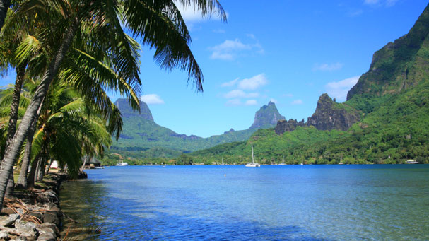 cook-s-bay-in-the-island-of-moorea-large