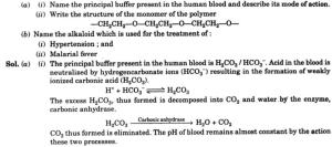 1 principal buffer present in human blood