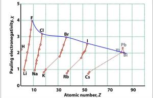 1e Pauling Electronegativity Periodic table